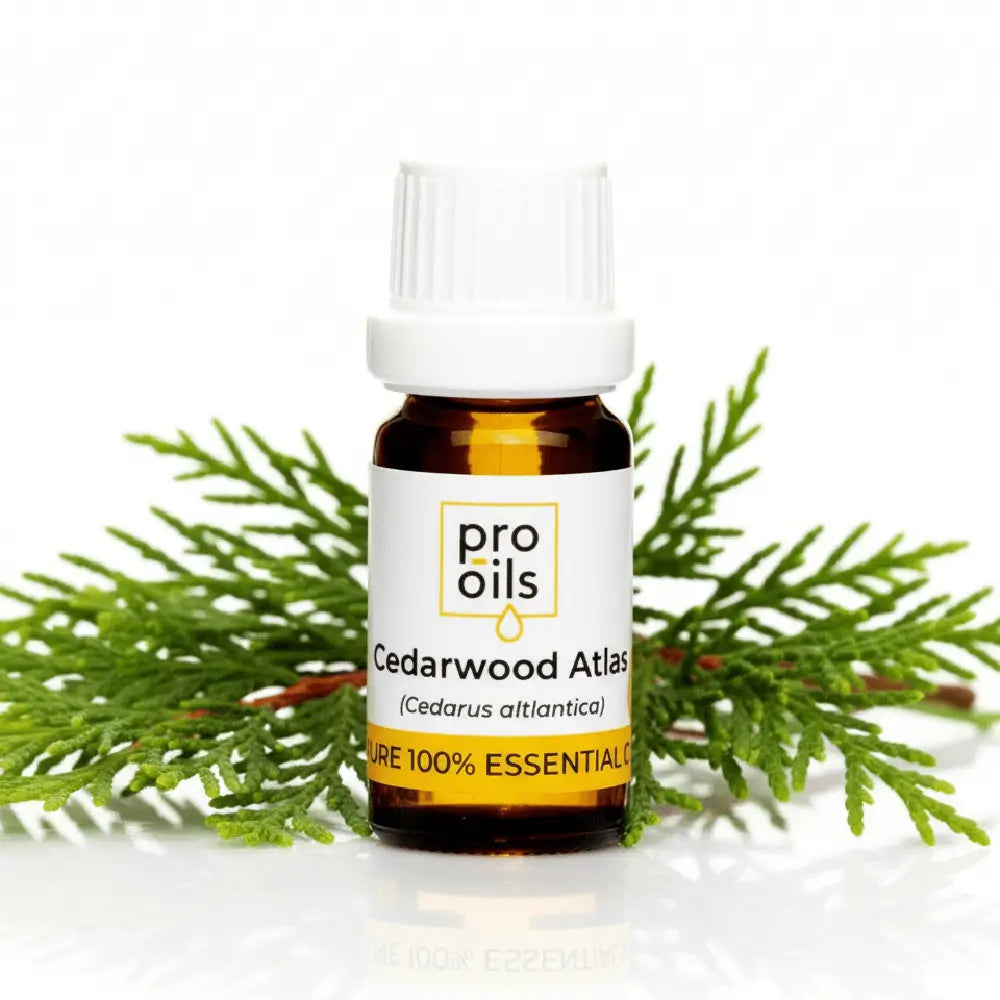 Bottle of Pro Oils Cedarwood Atlas essential oil with green foliage on a white background
