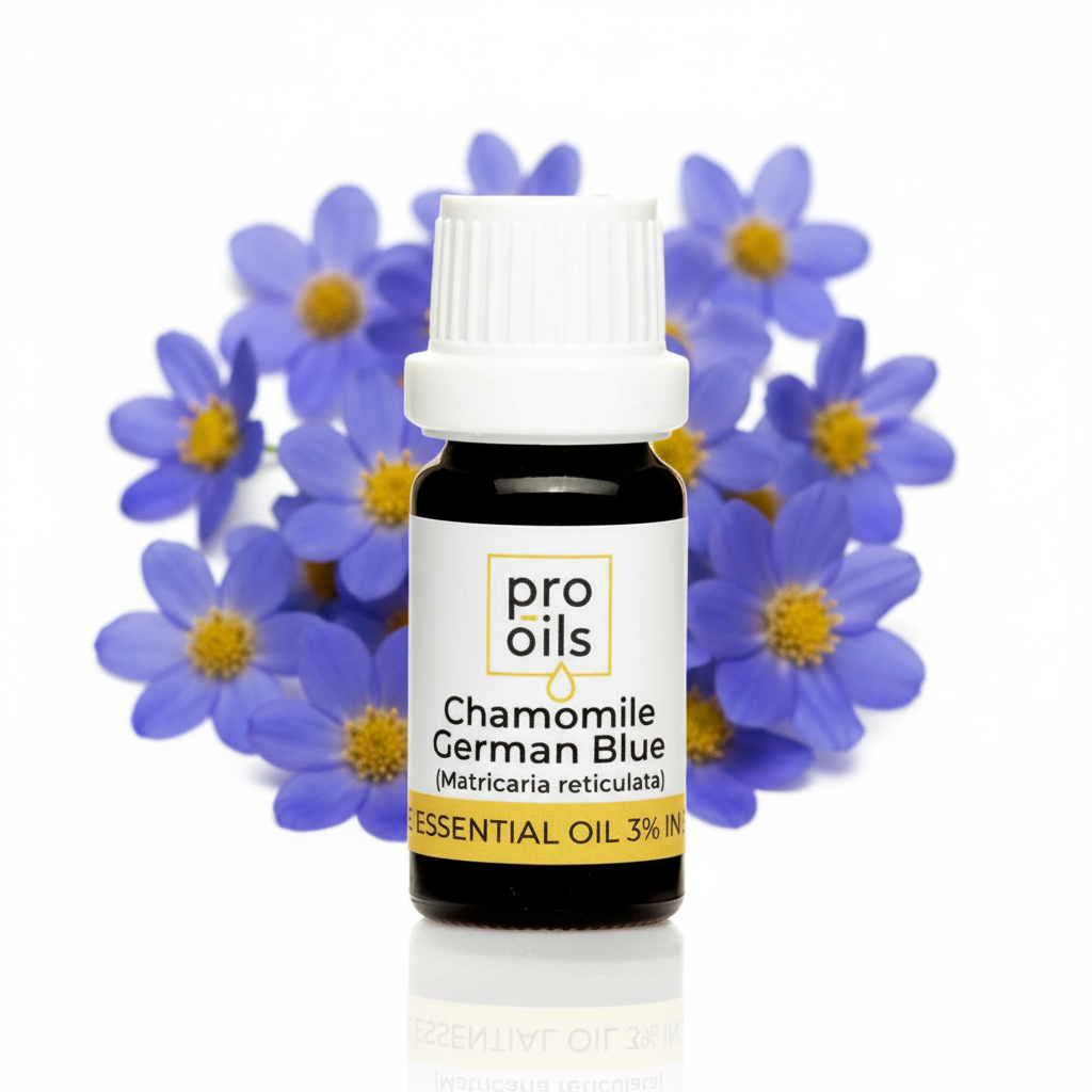 Chamomile German Blue