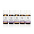 Pro Oils Essential Oil Blend Kit featuring a variety of blends for relaxation, focus, and overall wellness