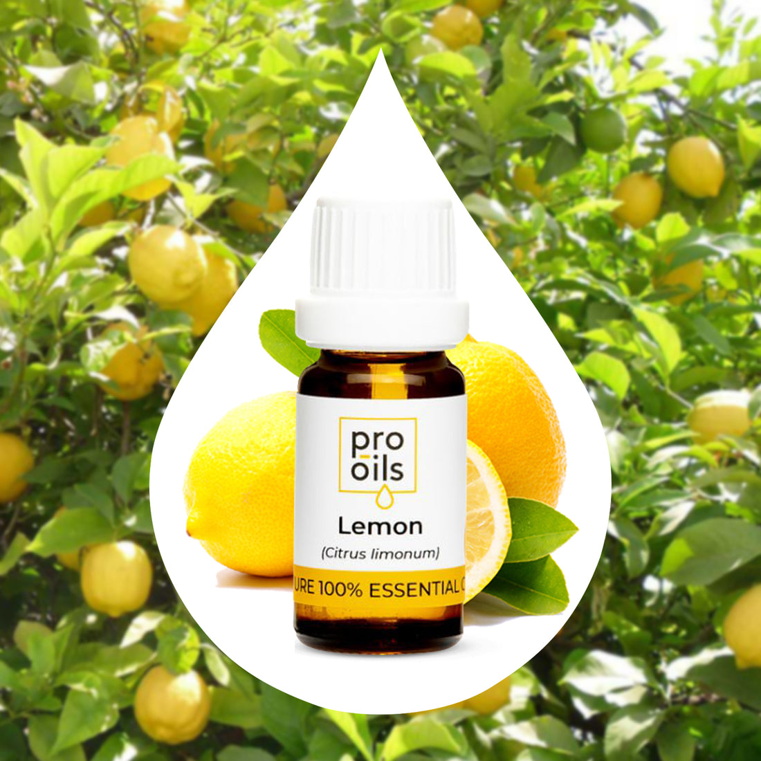 Lemon Essential Oil