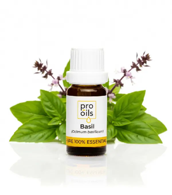 Bottle of Pro Oils Basil essential oil with basil leaves in the background