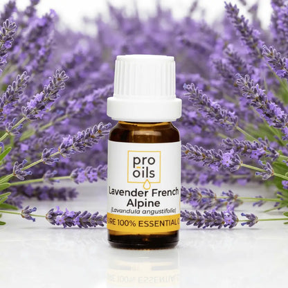 Bottle of Pro Oils Lavender French Alpine essential oil with lavender flowers in the background