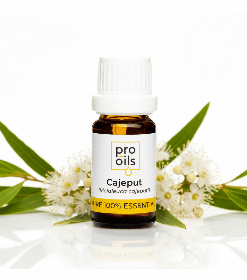 Bottle of Pro Oils Cajeput essential oil with eucalyptus leaves and flowers on a white background