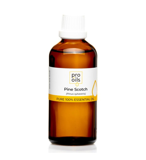 Pine Scotch essential oil bottle for respiratory support and relaxation