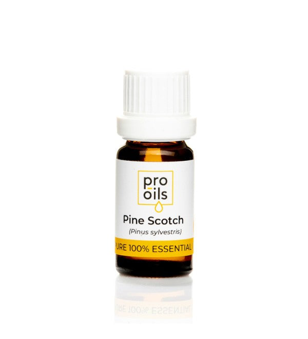 Pine Scotch essential oil bottle for respiratory support and relaxation