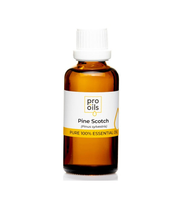 Pine Scotch essential oil bottle for respiratory support and relaxation