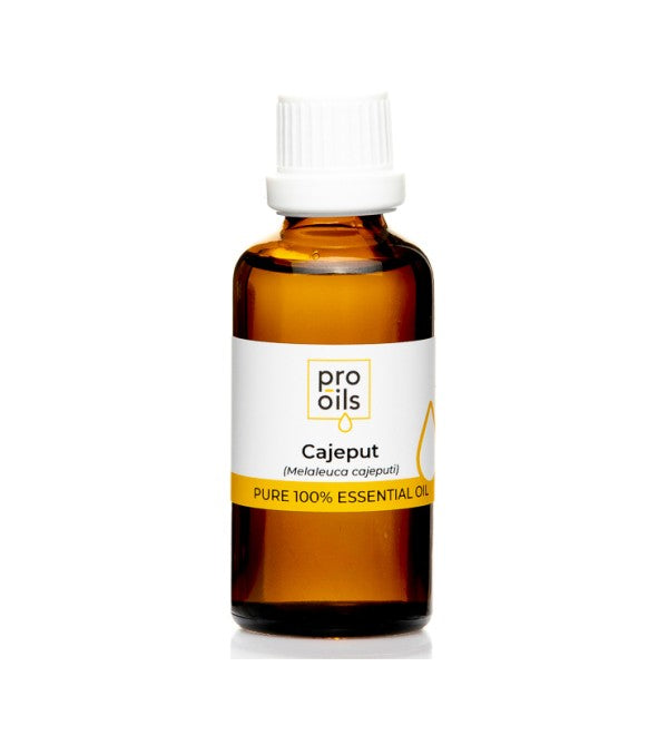 PRO-OILS Pure Cajeput Essential Oil Bottle for Respiratory Relief and Skincare