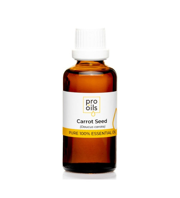 PRO-OILS Pure Carrot Seed Essential Oil Bottle for Skincare and Wellness