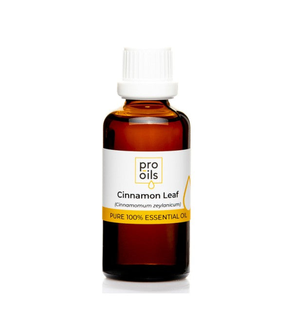 PRO-OILS Pure Cinnamon Leaf Essential Oil for Mood and Circulation Support