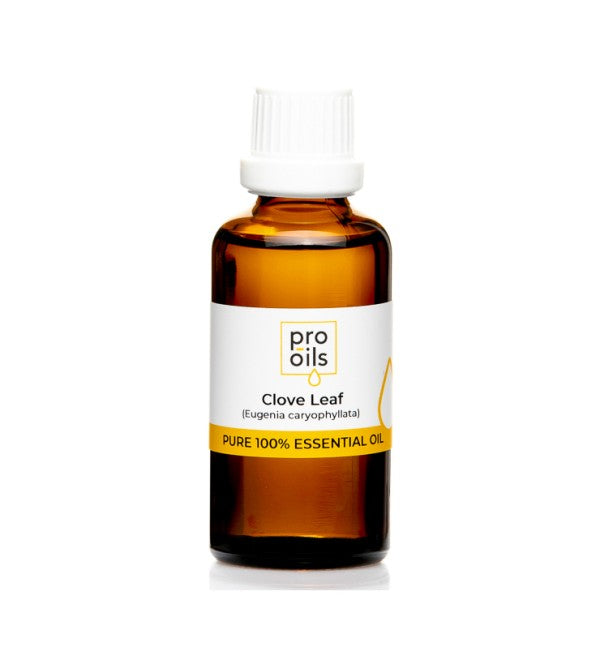 PRO-OILS Pure Clove Leaf Essential Oil Bottle for Pain Relief and Aromatherapy