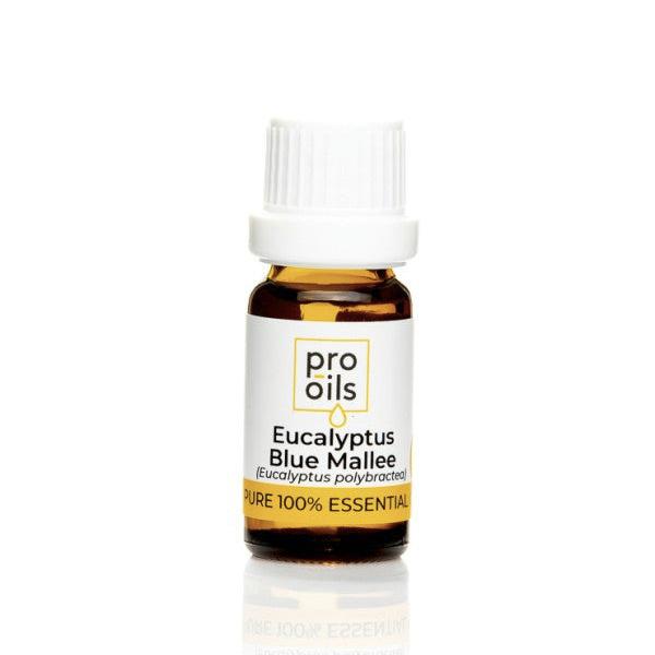 PRO-OILS Pure Eucalyptus Blue Mallee Essential Oil Bottle for Respiratory Support and Mental Clarity